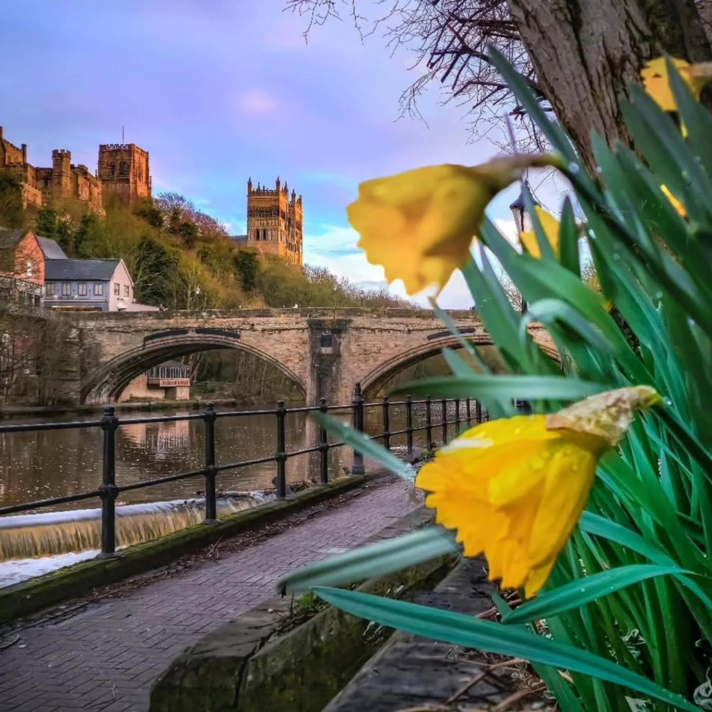 Durham Stays - The Mayor Exterior foto